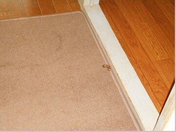 9月13日（43）仮