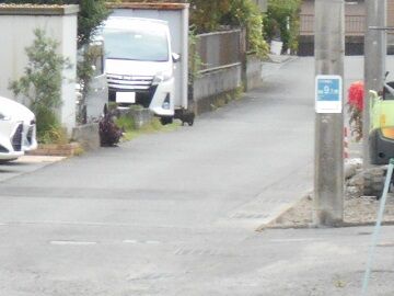 10月1日（14）仮