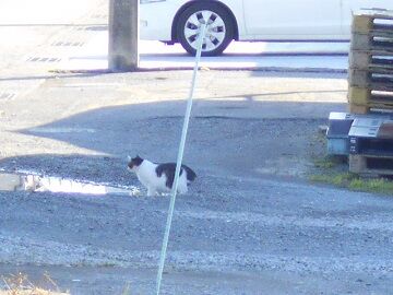 2月24日(7)仮