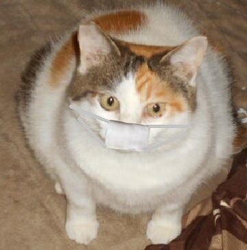 このぉ男ぉ～、大丈夫ぅかぁ～ぁ？（5）