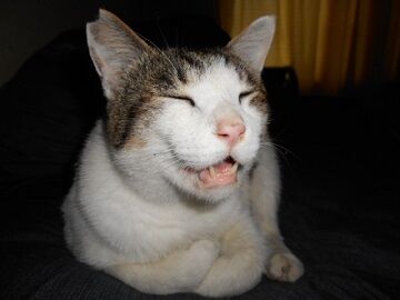 6月25日（33）仮