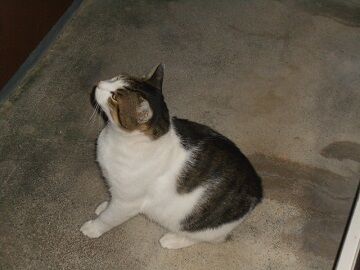 9月23日（20-11）仮