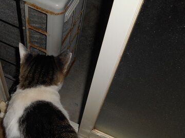 9月23日（3-3）仮