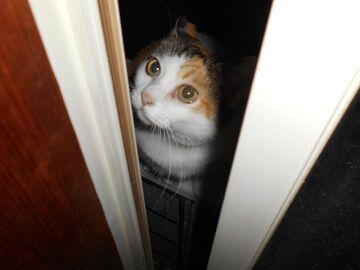 10月2日（20-17）仮