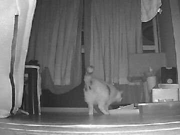 11月4日（58）使用