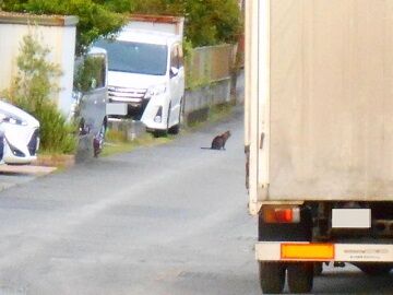 5月24日（25）仮