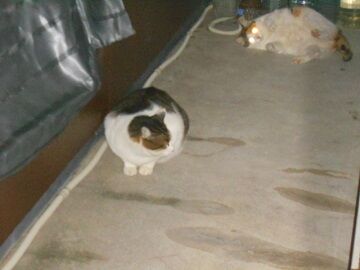 12月31日（22）仮