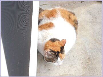 8月28日（75）仮