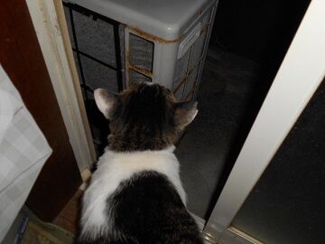 9月10日（18-4）仮