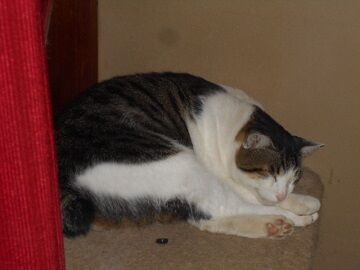 9月22日（18-2）仮