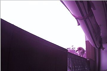 12月30日(19.92)仮