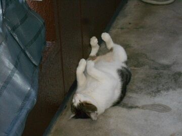 9月14日（16-4）仮