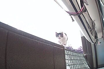 11月10日（73）AM8：43仮