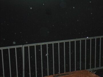 8月26日（27）仮