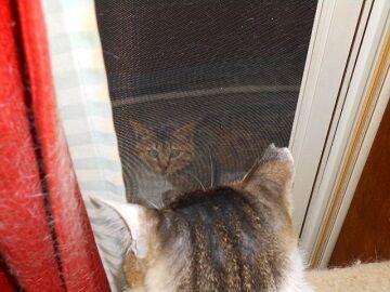 6月12日（25）仮