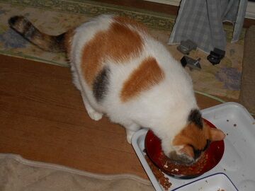 9月29日（20-4）仮