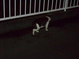 6月22日（14）仮