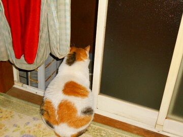 5月27日（15）仮