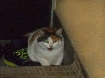 8月29日（22）仮