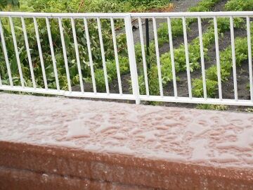 6月28日（12）仮