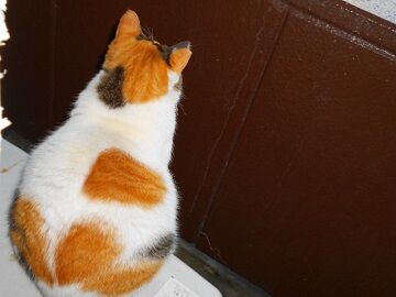 12月20日（14）仮