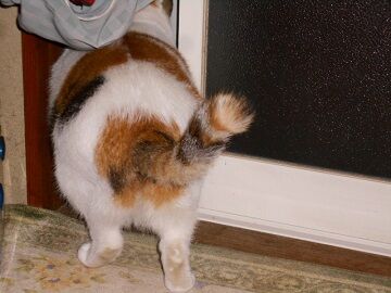 10月7日（22-4）仮