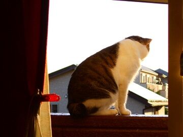 10月23日（31）仮