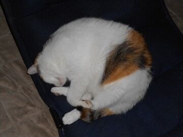 9月22日（22-4）仮