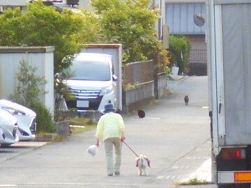 5月6日(7)仮