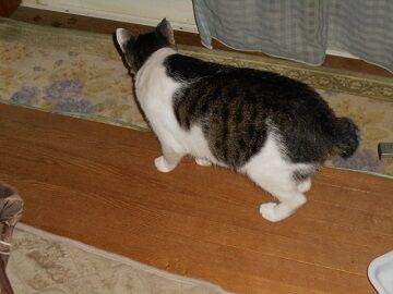 9月23日（3-8）仮