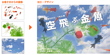 �����ֶ��