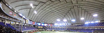 ����ɡ���