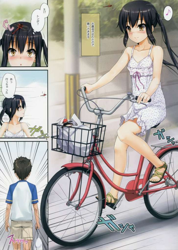 あずにゃんは醤油を買いに来ただけのようです 中国オタク用語集 あずにゃんは醤油を買いに来ただけのようです 中国オタク用語集