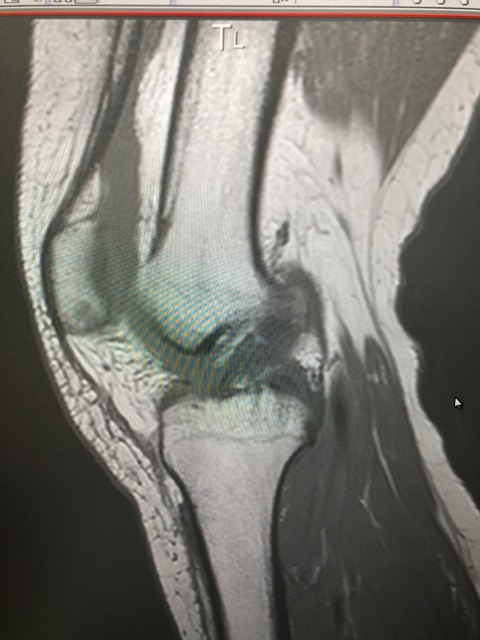 42AB9C00-9DBD-430D-84CF-F7796EE41C42