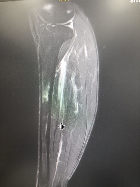 83A02D16-A722-4347-AD44-FC20998AB6E0