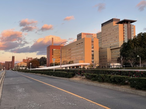 B2392722-5DB9-421D-B359-95BF82E36F3B