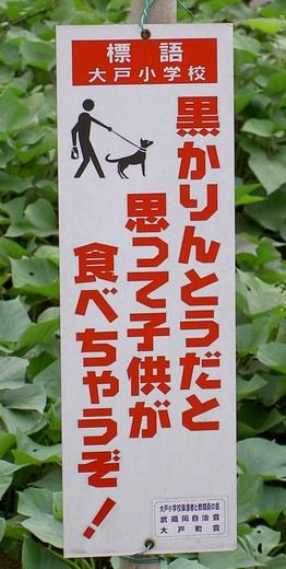 画像で笑ったら寝ろｗｗｗｗｗｗｗ Gaon 画像と音楽