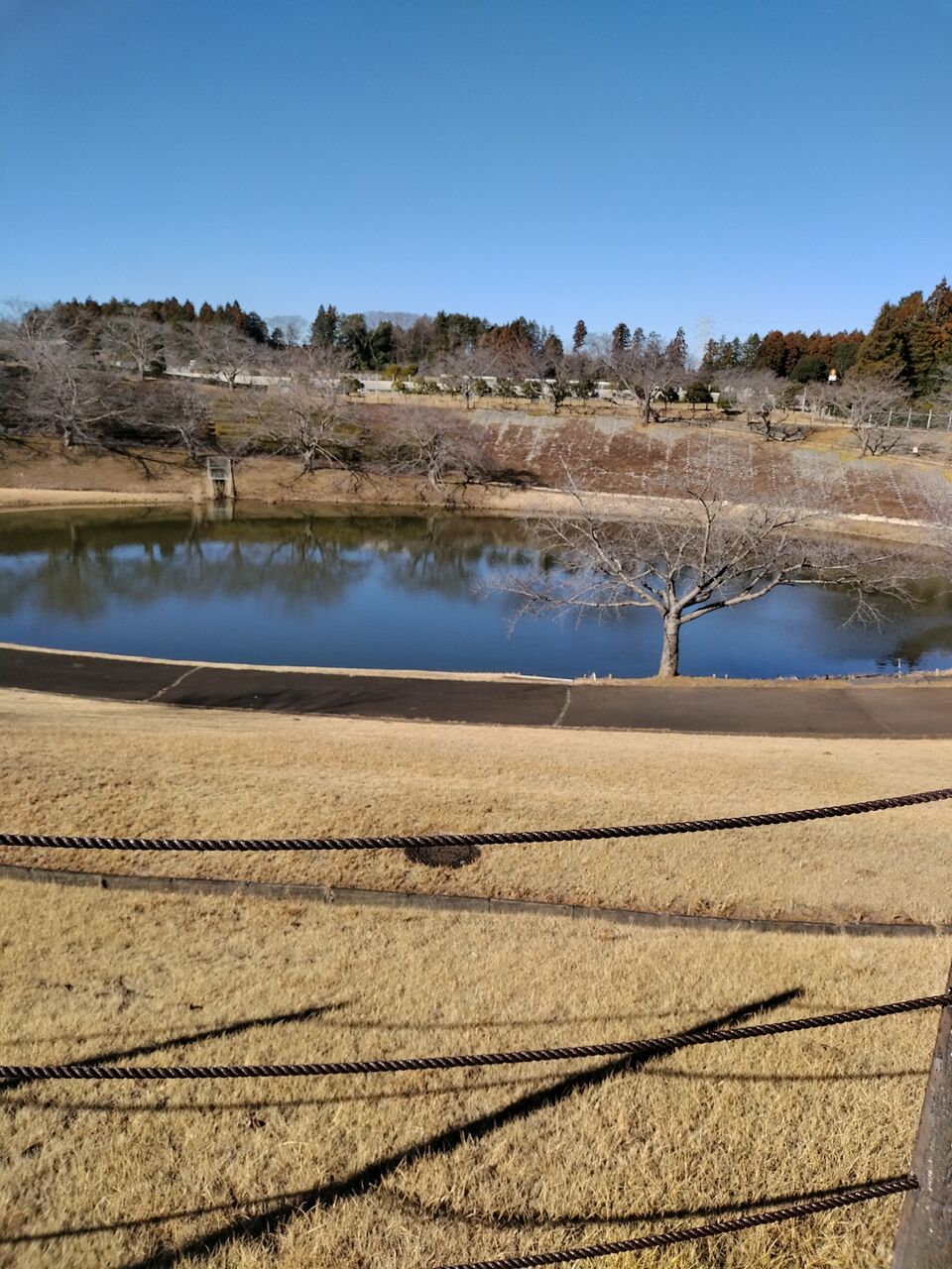 IMG_20260112_102649443