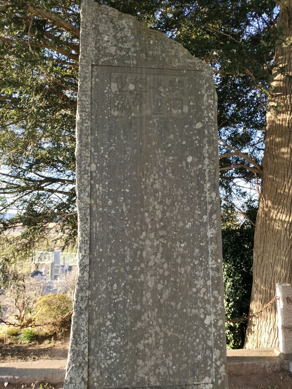 IMG_20260112_080103299