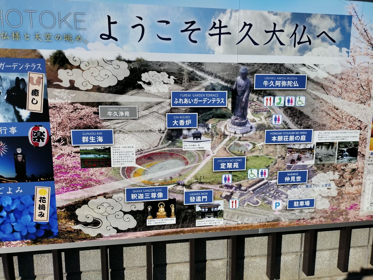 IMG_20260112_101858546