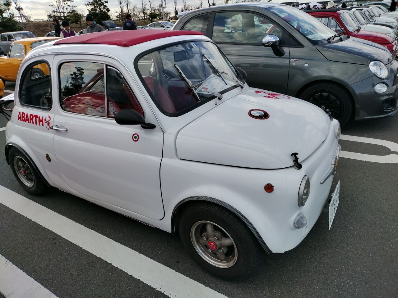 IMG_20251206_132401225