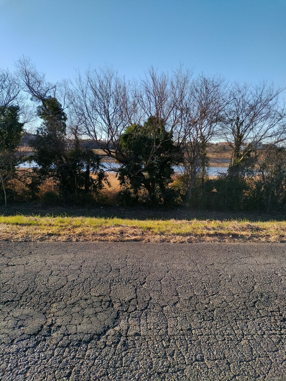 IMG_20260112_082523386