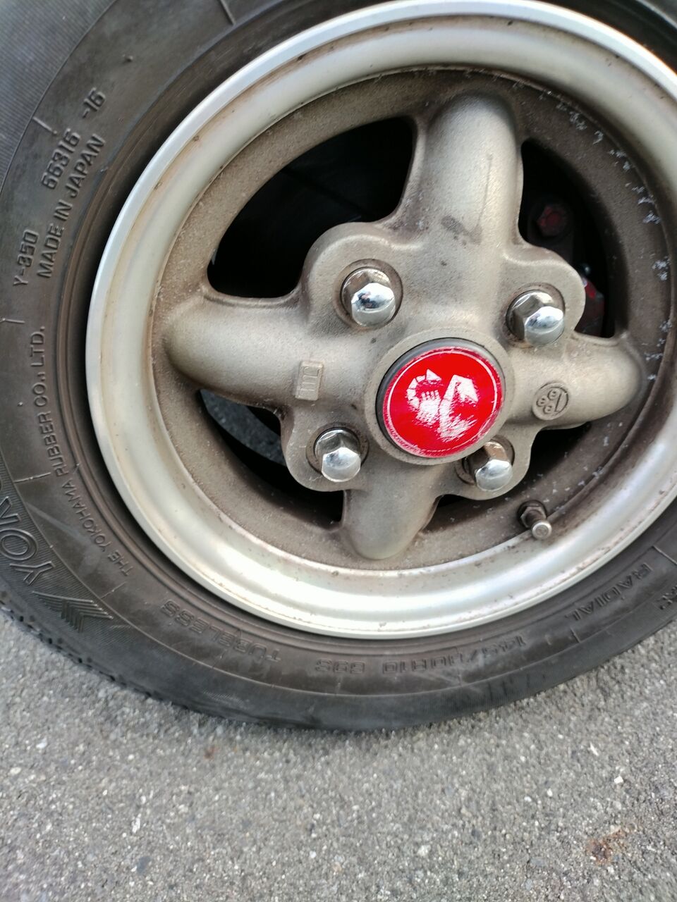 IMG_20251206_132458417