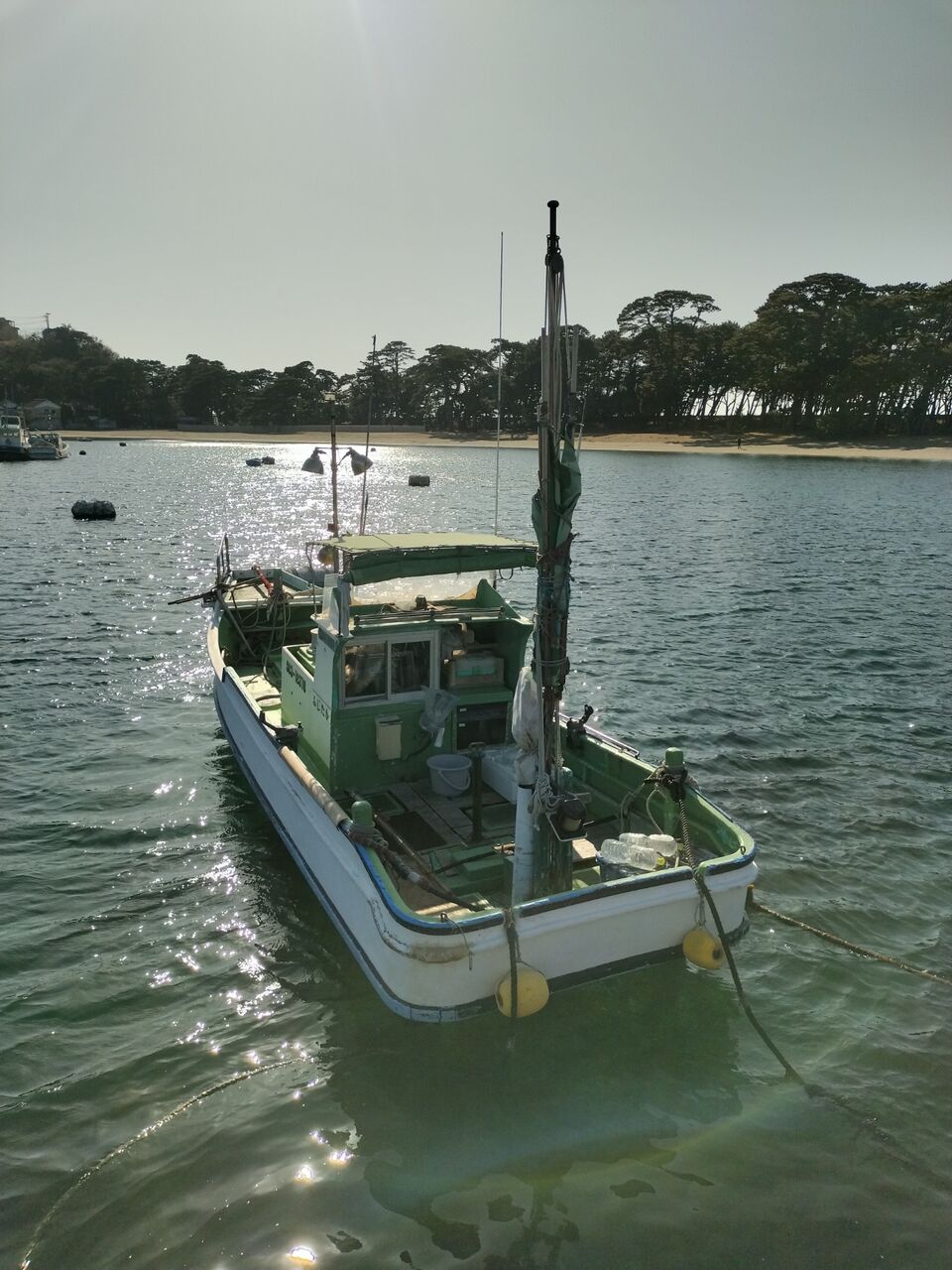 IMG_20260219_142904222