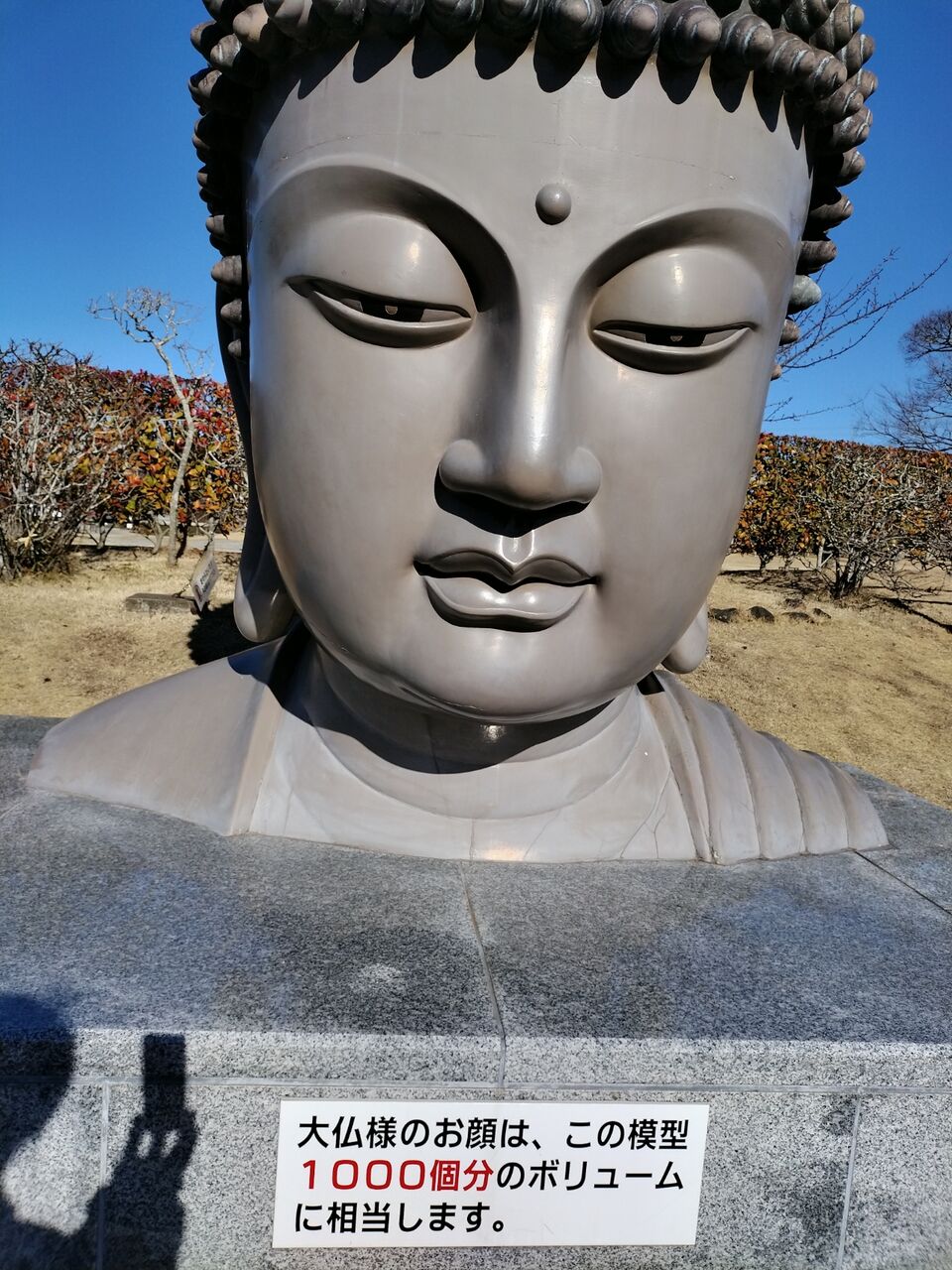 IMG_20260112_102222108