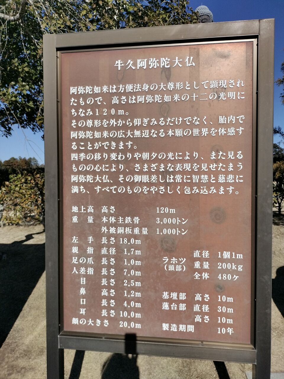 IMG_20260112_102250806