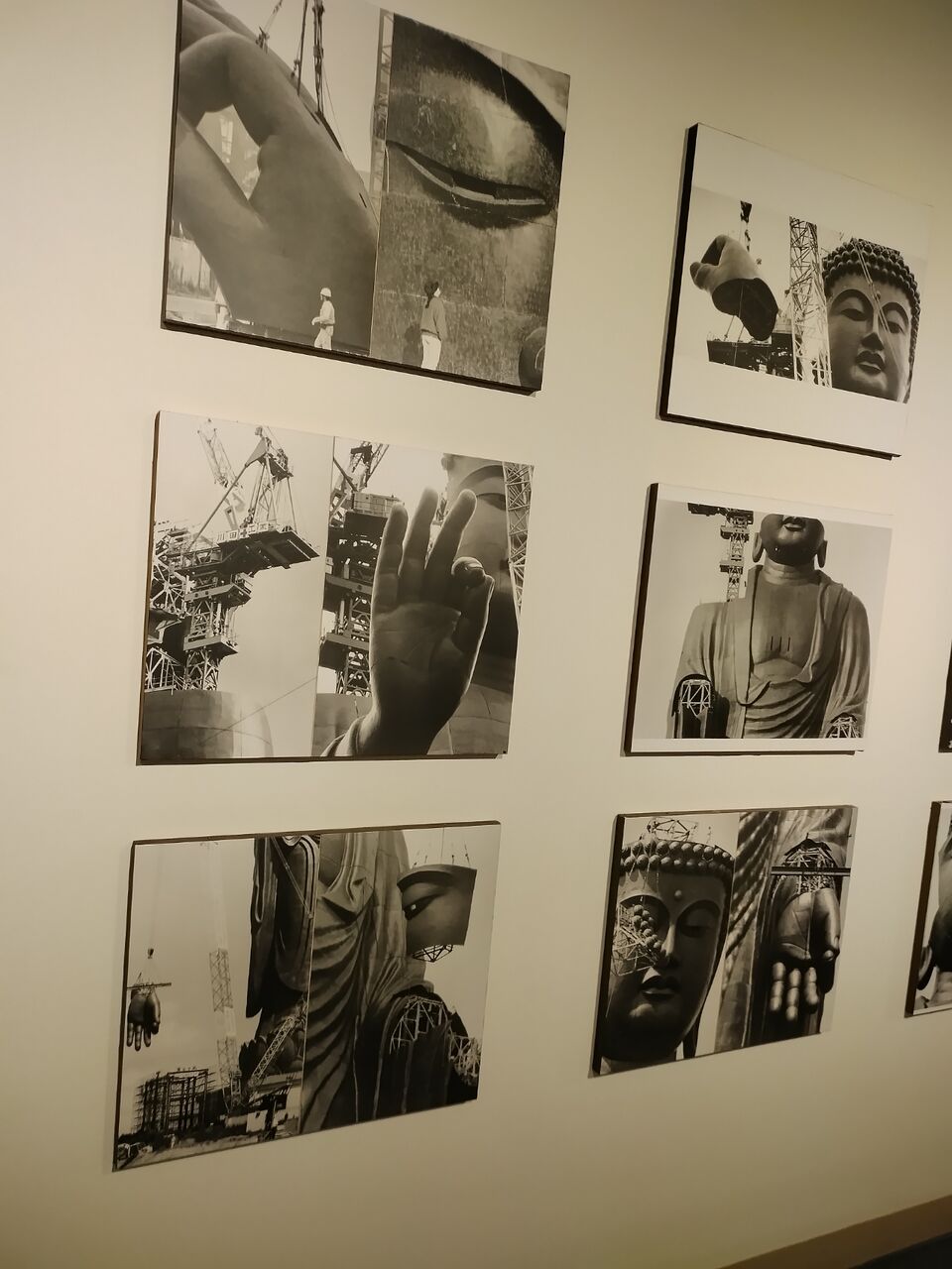 IMG_20260112_103915979