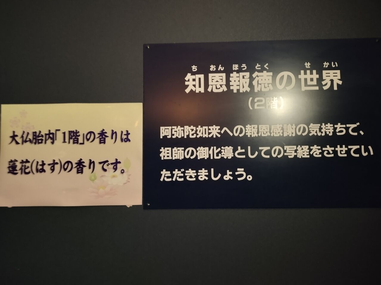 IMG_20260112_103645535