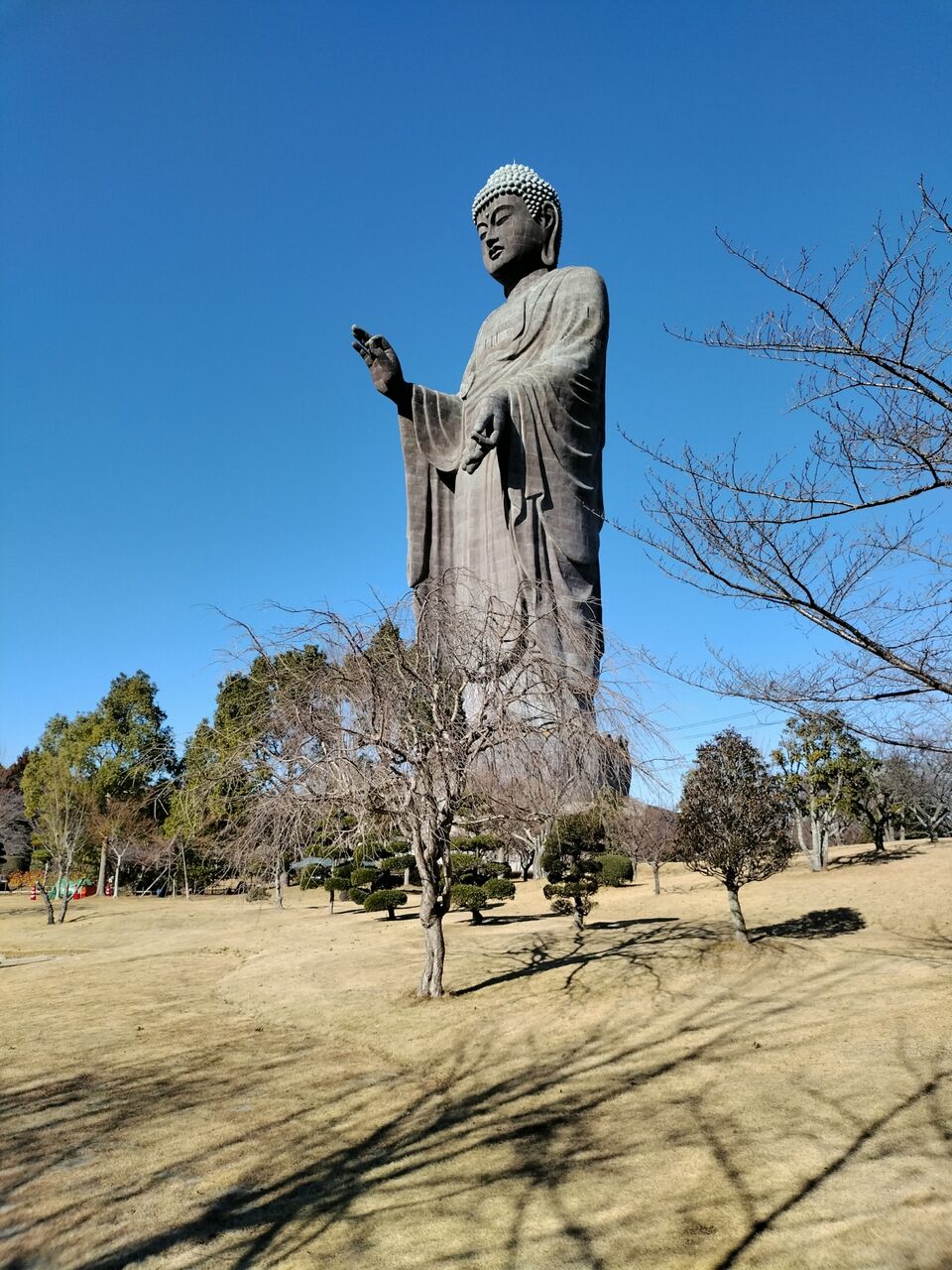 IMG_20260112_110651381