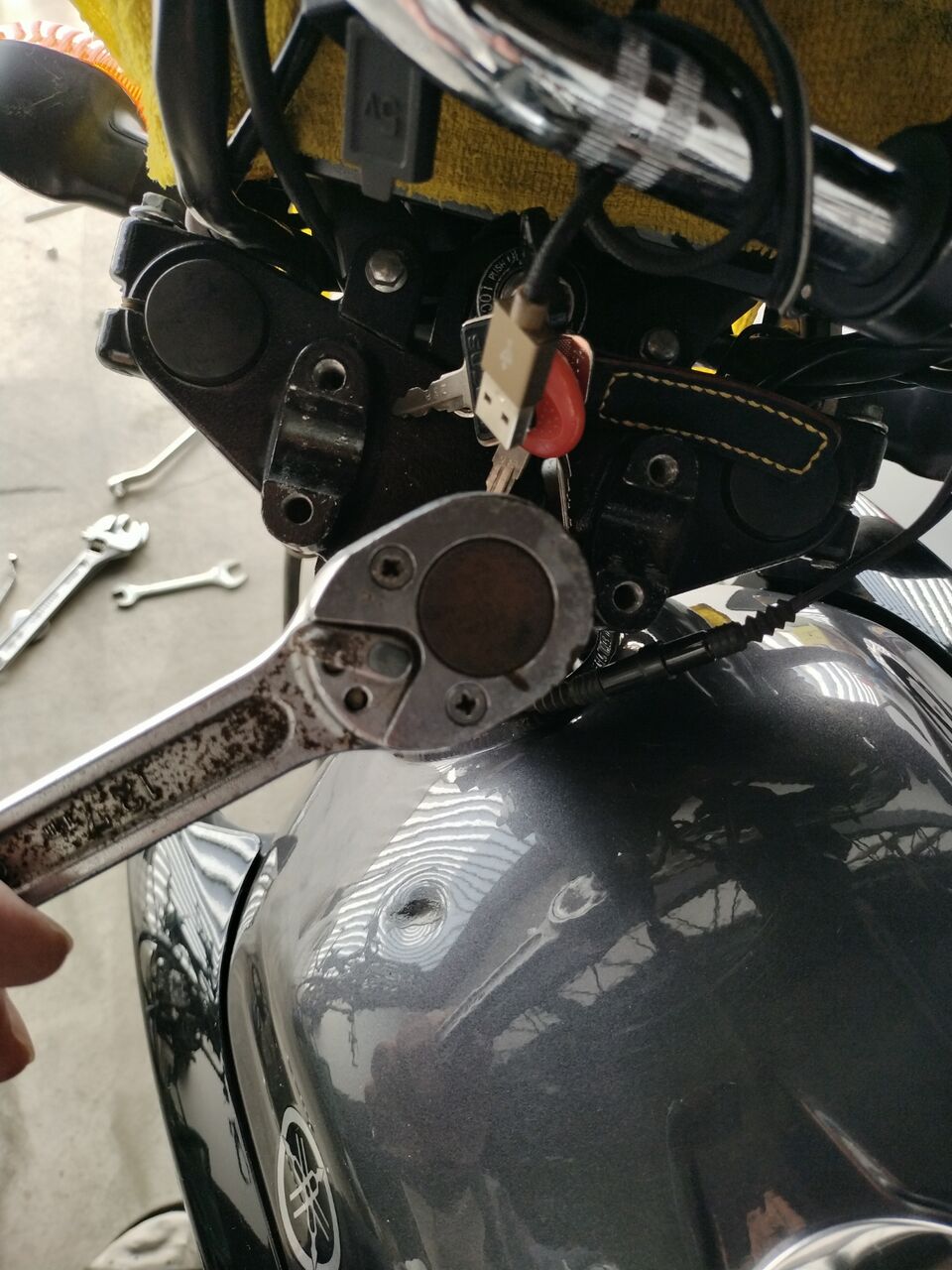 IMG_20251114_113121196